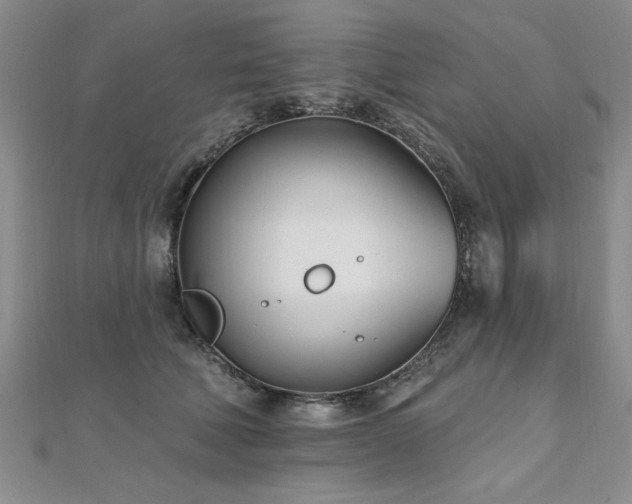 X0000112540610200908171444