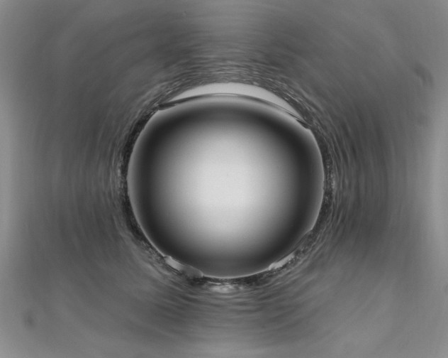 X0000112540611200908171444