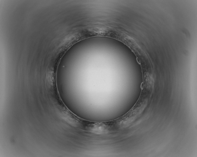 X0000112540612200908171444