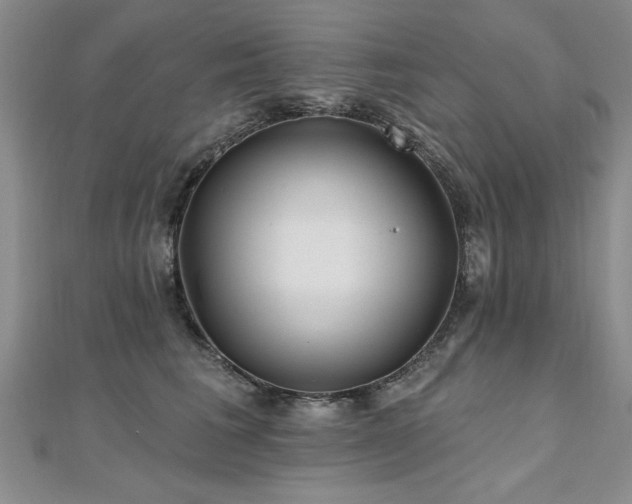 X0000112540613200908171444