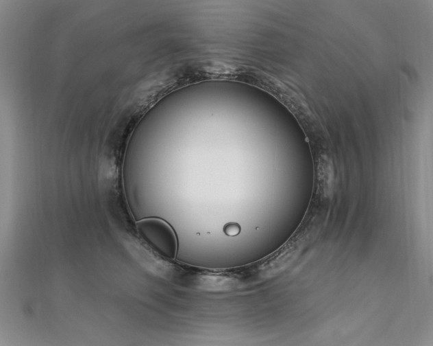 X0000112540614200908171444