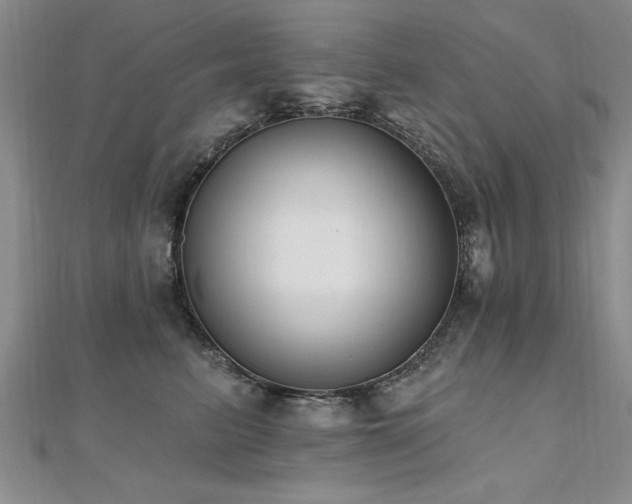 X0000112540615200908171444