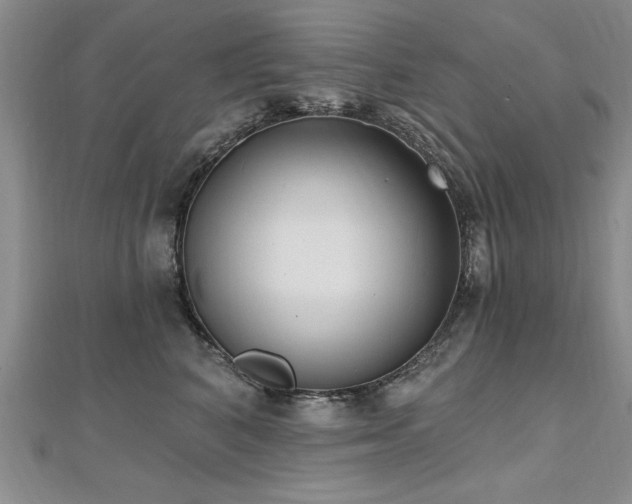X0000112540616200908171444