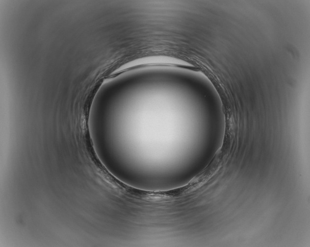 X0000112540617200908171444