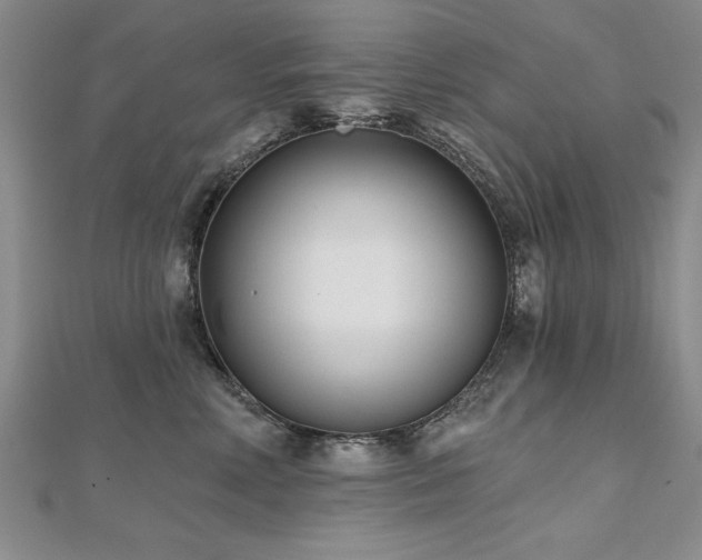 X0000112540618200908171444