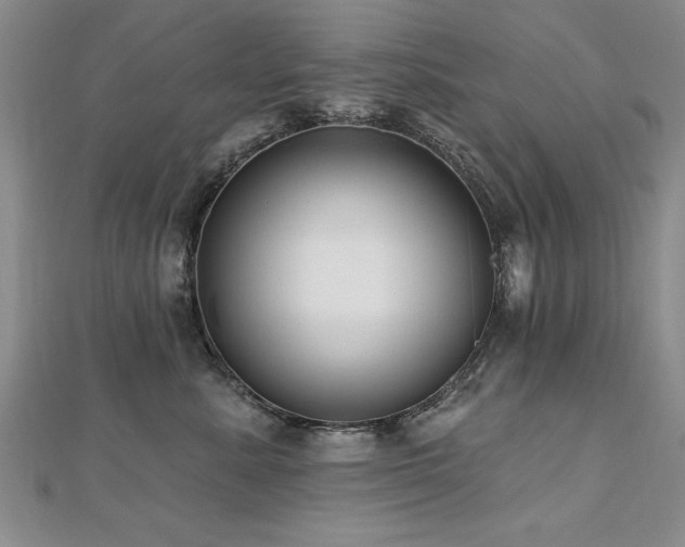 X0000112540619200908171444