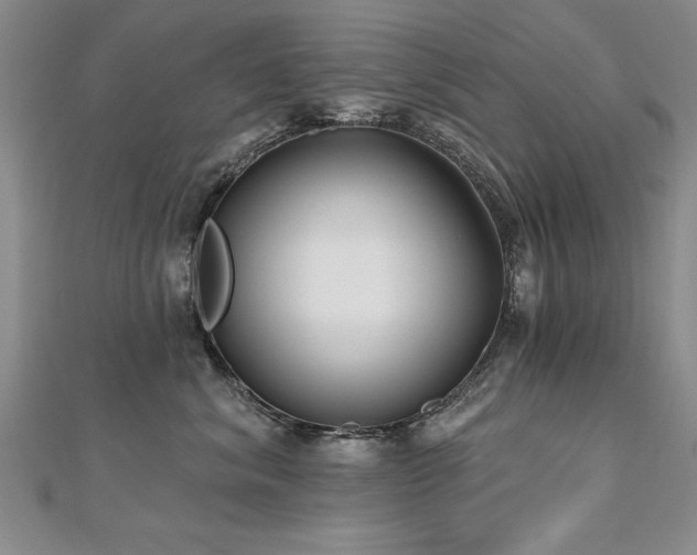X0000112540620200908171444