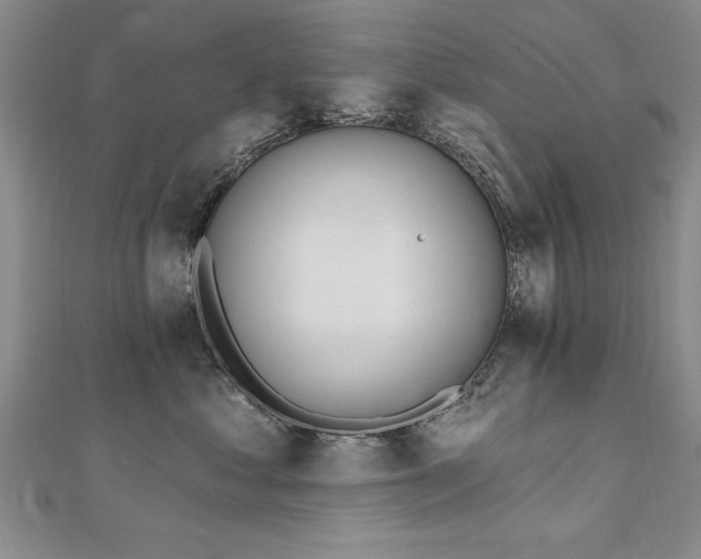 X0000112540621200908171444