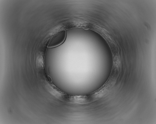 X0000112540622200908171443