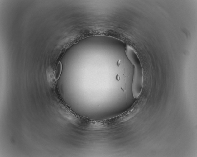 X0000112540624200908171443