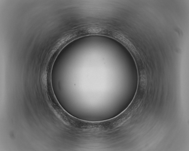 X0000112540626200908171443