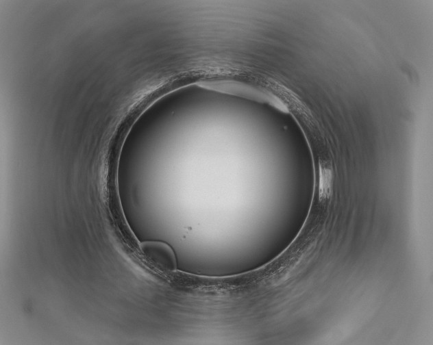 X0000112540627200908171443