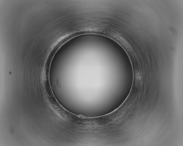 X0000112540628200908171443