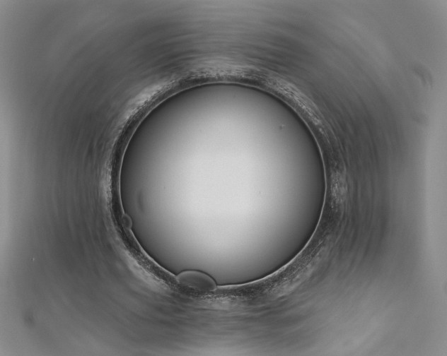 X0000112540629200908171443