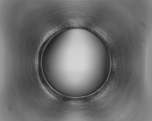 X0000112540630200908171443