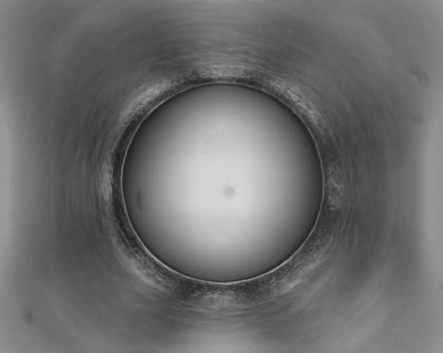 X0000112540631200908171443