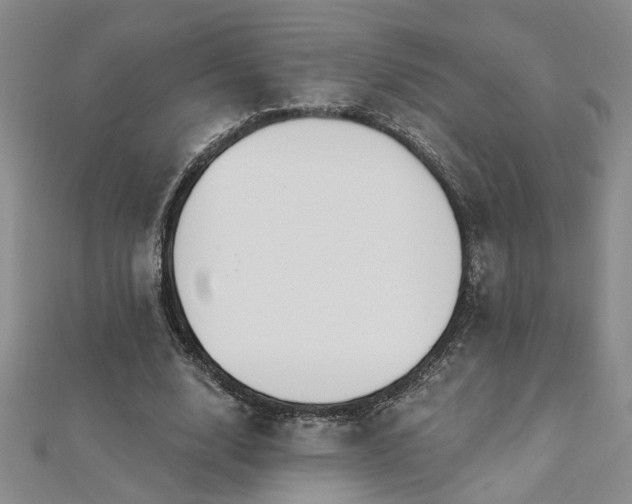 X0000112540632200908171443