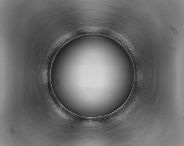 X0000112540633200908171443