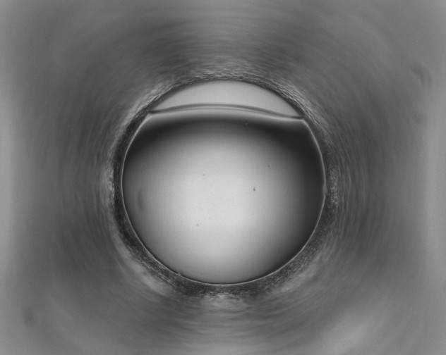 X0000112540634200908171443
