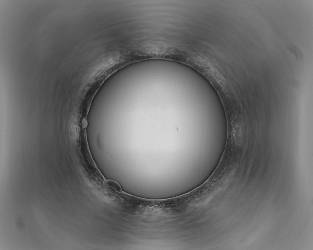 X0000112540635200908171443