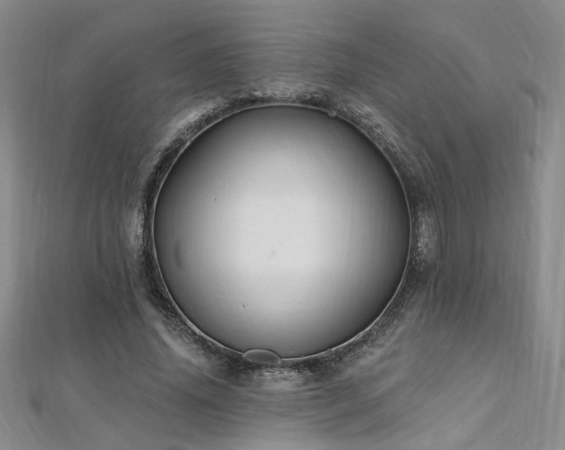 X0000112540636200908171443