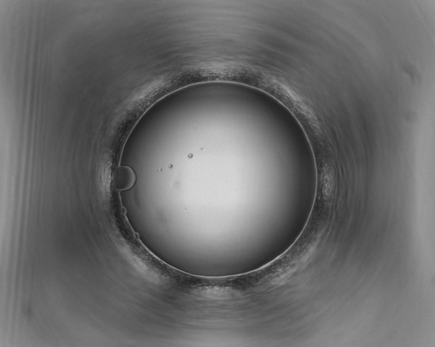 X0000112540637200908171443