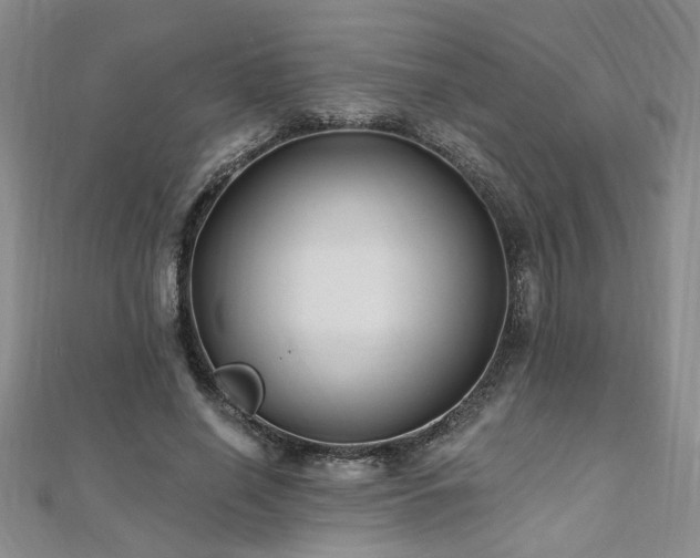 X0000112540638200908171443
