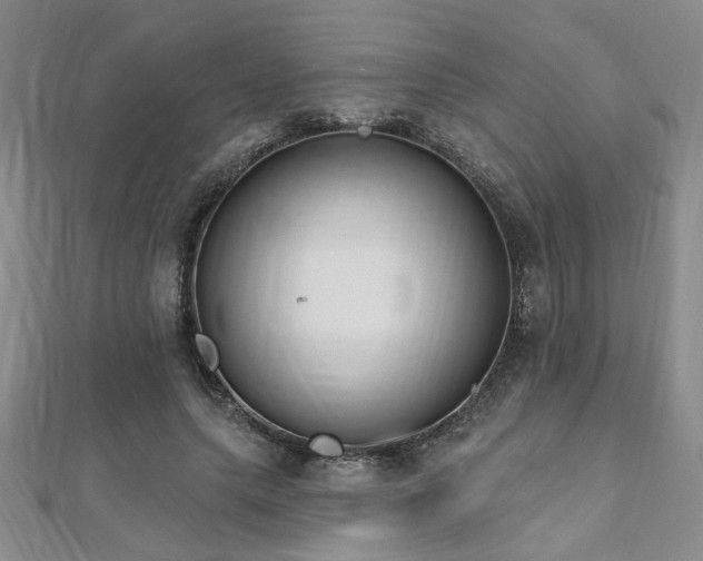 X0000112540639200908171443