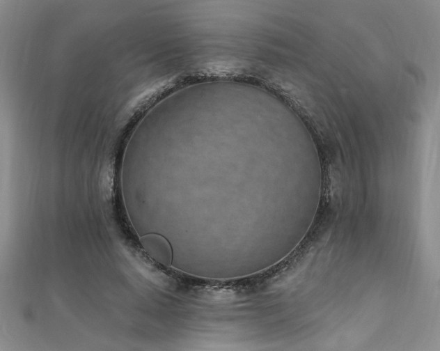 X0000112540640200908171443
