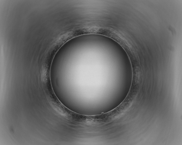 X0000112540641200908171443