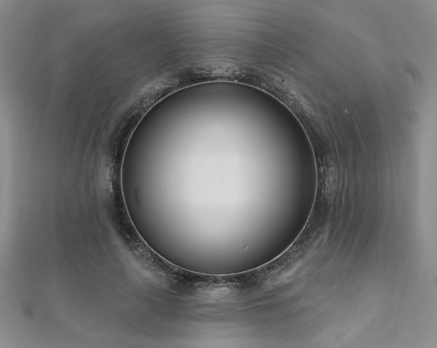 X0000112540643200908171443