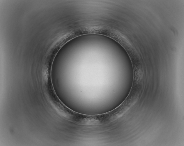 X0000112540644200908171443