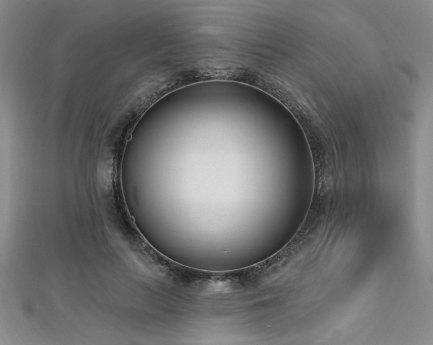X0000112540647200908171443