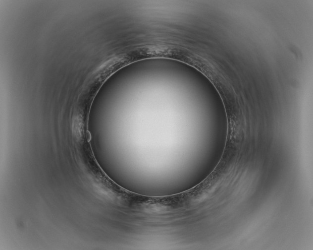 X0000112540648200908171443