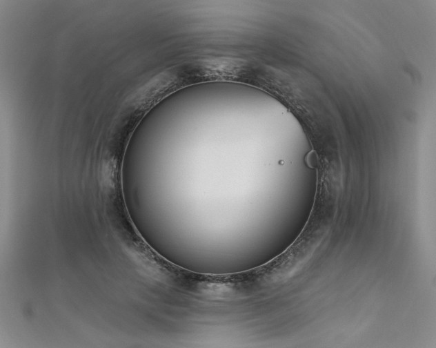 X0000112540649200908171443
