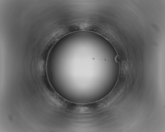 X0000112540650200908171443