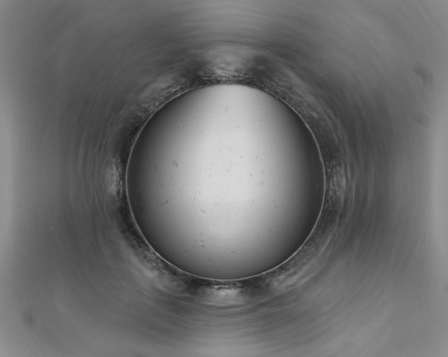 X0000112540651200908171443