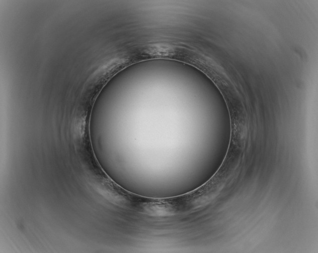 X0000112540652200908171443