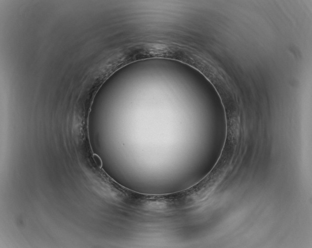 X0000112540653200908171443