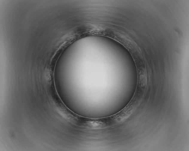 X0000112540654200908171443