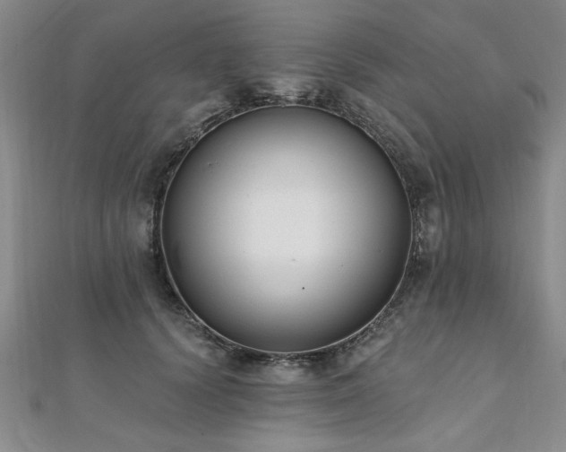 X0000112540656200908171443