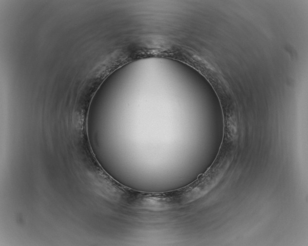 X0000112540657200908171443