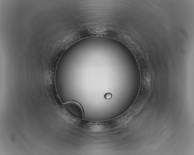 X0000112540658200908171443
