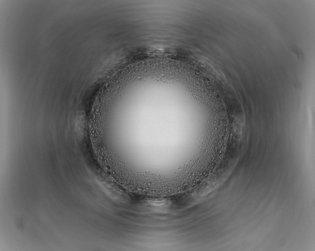 X0000112540659200908171443