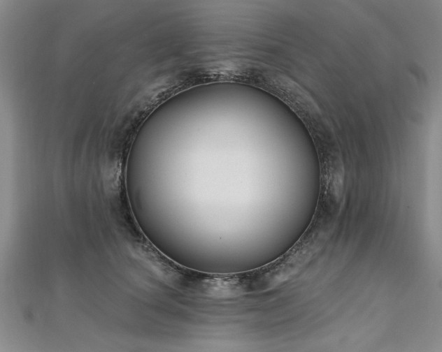 X0000112540660200908171443