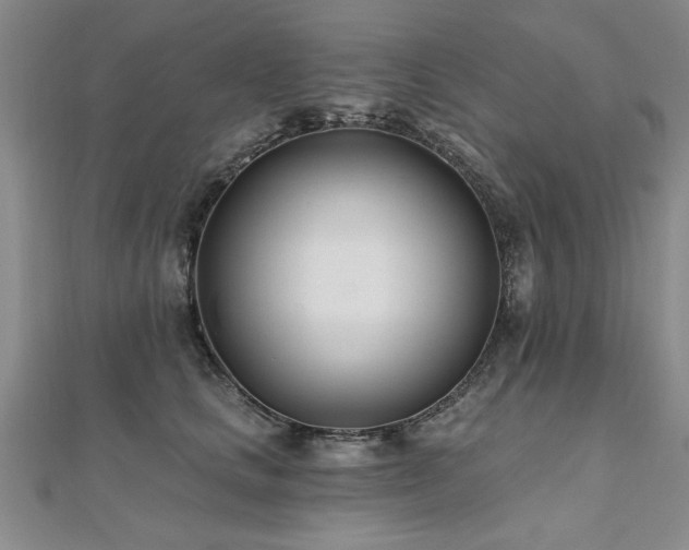 X0000112540661200908171443