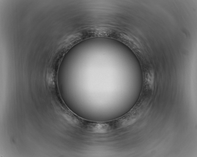 X0000112540663200908171443