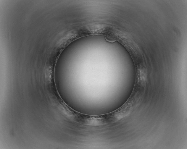 X0000112540664200908171443