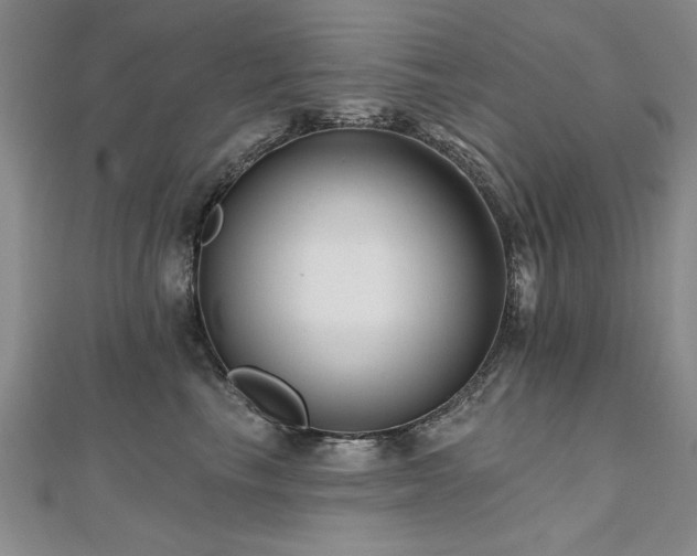 X0000112540665200908171443