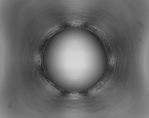 X0000112540666200908171443